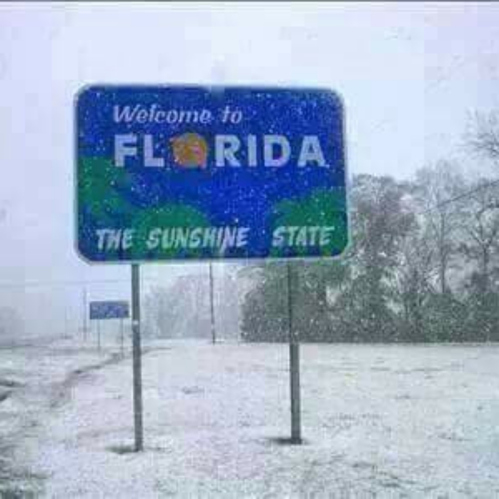 Meet your Posher, Teresa